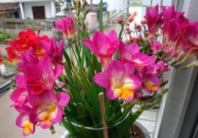 春季适宜食用水果推荐