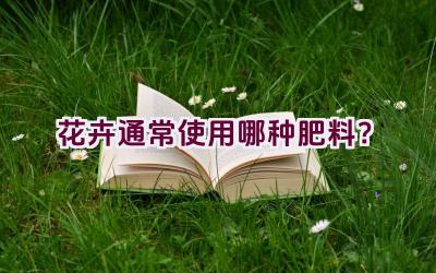 花卉通常使用哪种肥料？插图