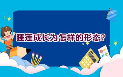 睡莲成长为怎样的形态？
