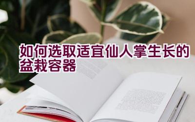 如何选取适宜仙人掌生长的盆栽容器插图