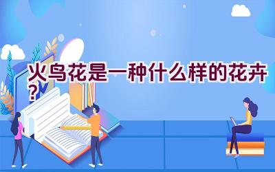火鸟花是一种什么样的花卉？插图