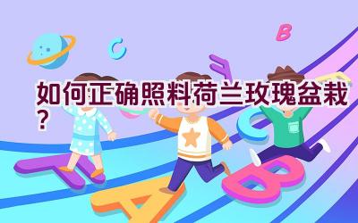 如何正确照料荷兰玫瑰盆栽？插图