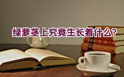 绿萝茎上究竟生长着什么？插图