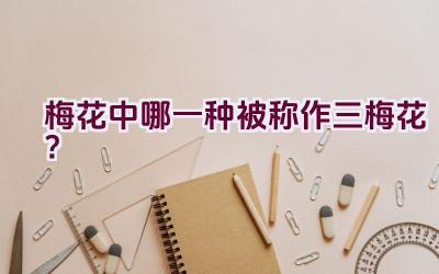 梅花中哪一种被称作三梅花？