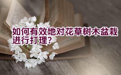 如何有效地对花草树木盆栽进行打理？插图