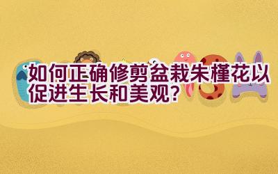 如何正确修剪盆栽朱槿花以促进生长和美观？插图