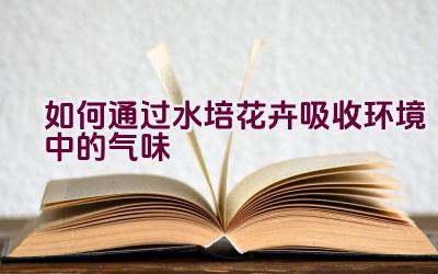 如何通过水培花卉吸收环境中的气味插图