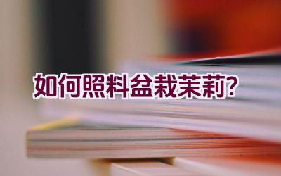 如何照料盆栽茉莉？插图