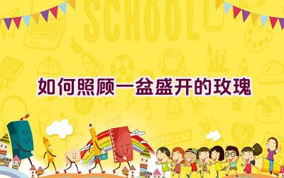 如何照顾一盆盛开的玫瑰插图