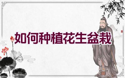 如何种植花生盆栽插图