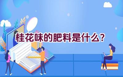 桂花味的肥料是什么？插图
