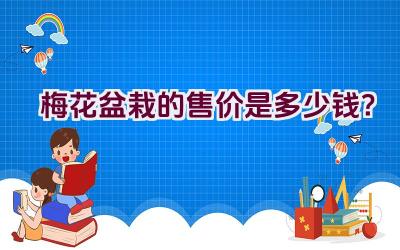 梅花盆栽的售价是多少钱？插图
