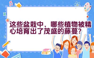 这些盆栽中，哪些植物被精心培育出了茂盛的藤蔓？插图