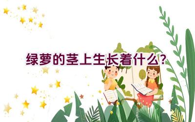 绿萝的茎上生长着什么？插图
