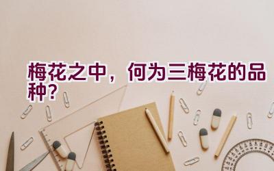 梅花之中，何为三梅花的品种？