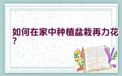 如何在家中种植盆栽再力花？插图