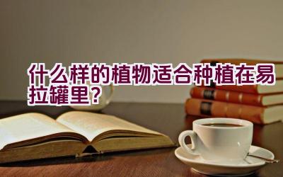 什么样的植物适合种植在易拉罐里？