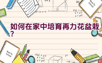 如何在家中培育再力花盆栽？插图
