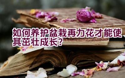 如何养护盆栽再力花才能使其茁壮成长？插图