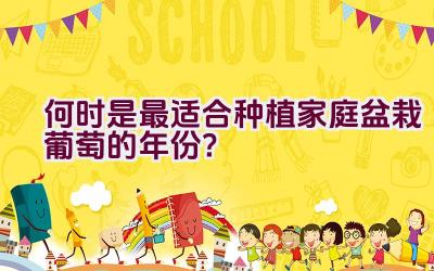 何时是最适合种植家庭盆栽葡萄的年份？插图