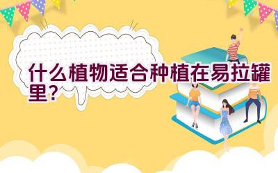 什么植物适合种植在易拉罐里？