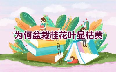 为何盆栽桂花叶显枯黄插图