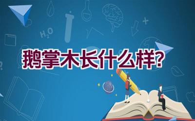 鹅掌木长什么样？