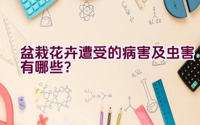 盆栽花卉遭受的病害及虫害有哪些？插图