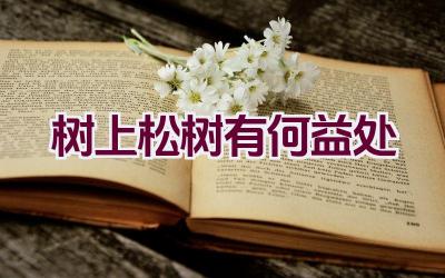 树上松树有何益处