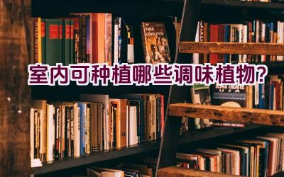 室内可种植哪些调味植物？插图