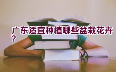 广东适宜种植哪些盆栽花卉？插图