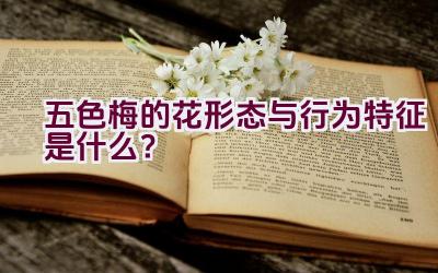 五色梅的花形态与行为特征是什么？