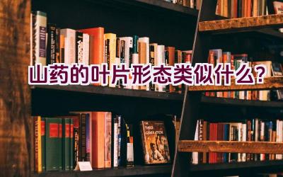 山药的叶片形态类似什么？插图