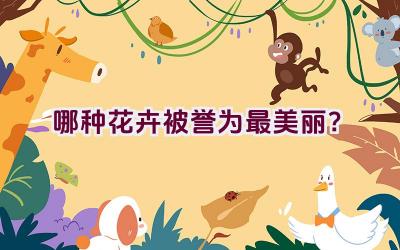 哪种花卉被誉为最美丽？