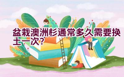 盆栽澳洲杉通常多久需要换土一次？插图