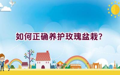 如何正确养护玫瑰盆栽？插图