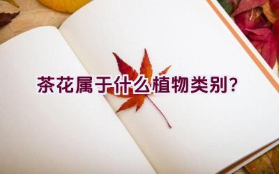 茶花属于什么植物类别？