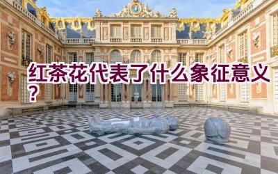 红茶花代表了什么象征意义？插图