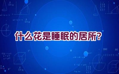 什么花是睡眠的居所？插图