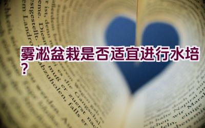 雾凇盆栽是否适宜进行水培？插图