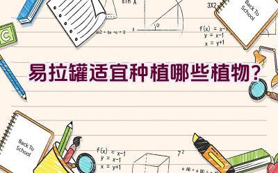 易拉罐适宜种植哪些植物？插图