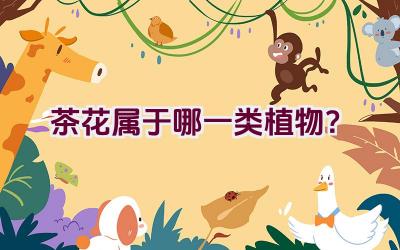 茶花属于哪一类植物？插图