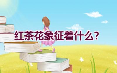 红茶花象征着什么？插图
