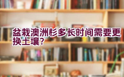 盆栽澳洲杉多长时间需要更换土壤？插图