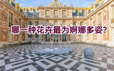 哪一种花卉最为婀娜多姿？插图