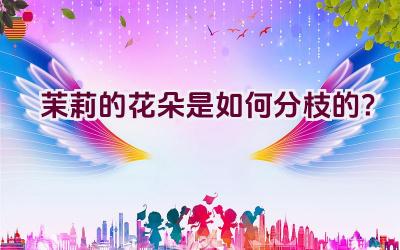 茉莉的花朵是如何分枝的？插图