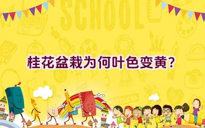 桂花盆栽为何叶色变黄？插图