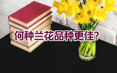 何种兰花品种更佳？