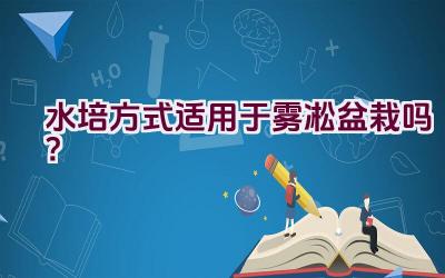 水培方式适用于雾凇盆栽吗？插图