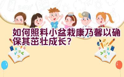 如何照料小盆栽康乃馨以确保其茁壮成长？插图